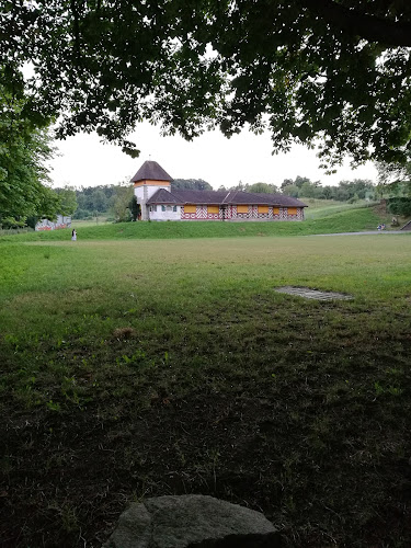 Rezensionen über Treffpunkt Waldkindergarten Spitzwald in Allschwil - Kindergarten