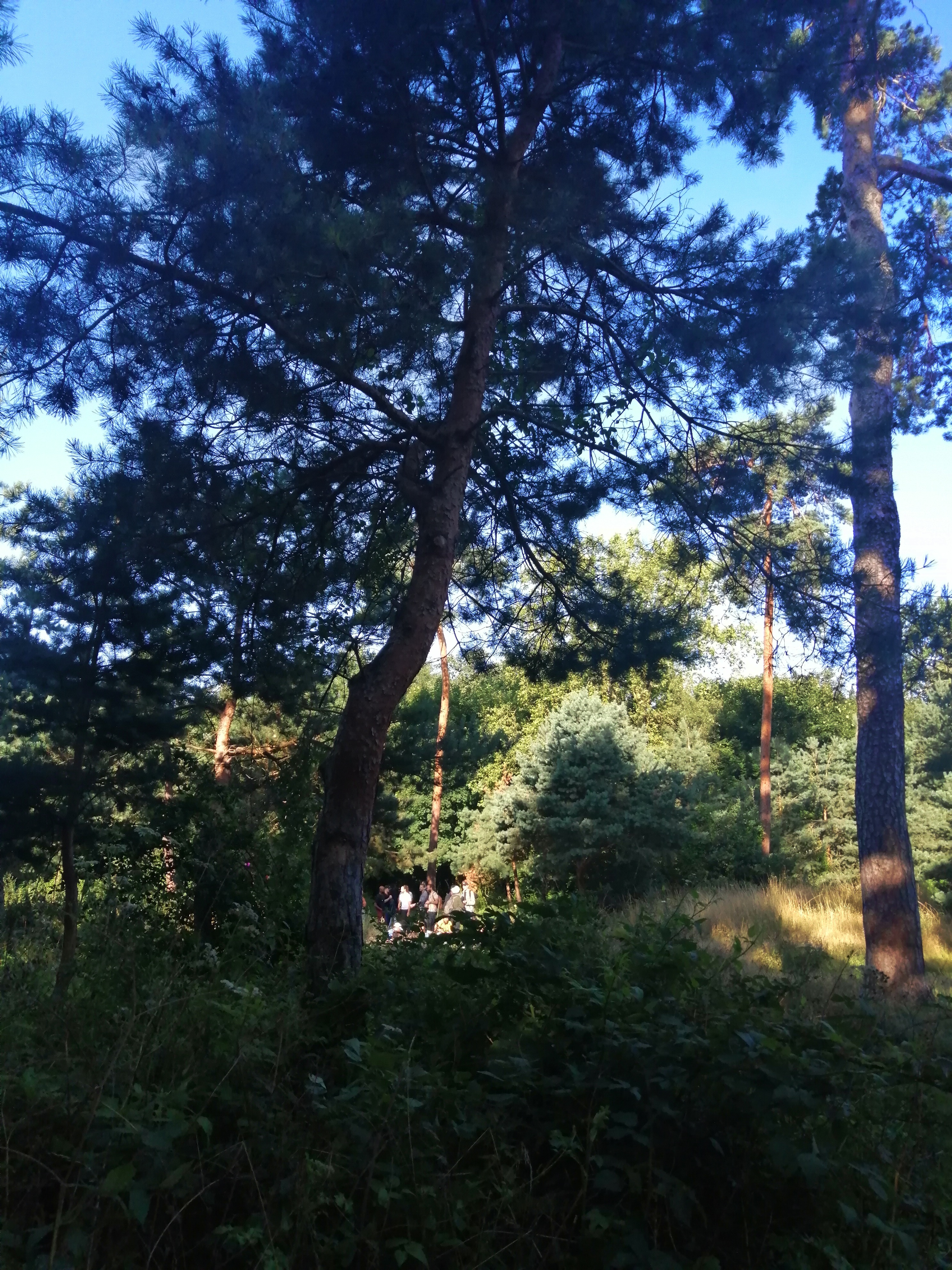 Photo n° 5 de l'avis de Bhel.O fait le 16/08/2021 à 22:29