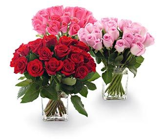 Florist «French Florist», reviews and photos, 8658 W Pico Blvd, Los Angeles, CA 90035, USA