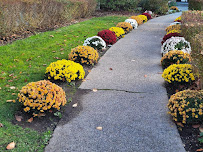 M.Carbillano Landscaping & Design - Photo 5 - Car repair in Yonkers, NY, Bronx