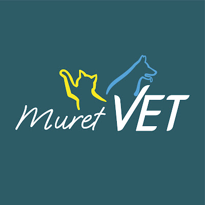 Dr Bernard-Daire Eva à Muret