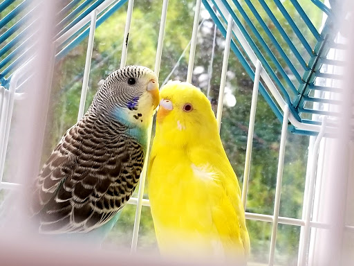 Pet Supply Store «Petco Animal Supplies», reviews and photos, 247 N Washington Hwy, Ashland, VA 23005, USA