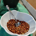 Photo n°6 de l'avis de Andrea.o fait le 21/08/2021 à 21:17 sur le  Ristorante La Perla à Castel Gandolfo