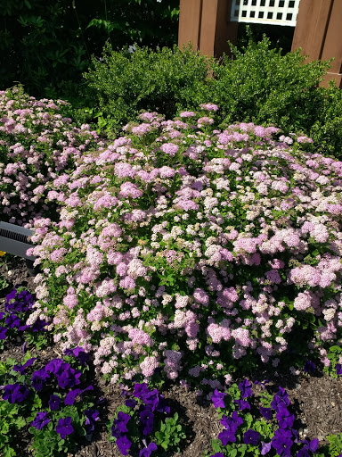 Coffee Shop «Starbucks», reviews and photos, 24 Montauk Hwy, Hampton Bays, NY 11946, USA