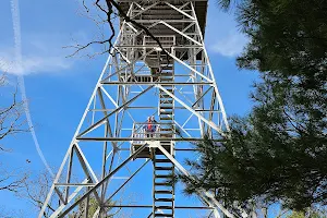 Taum Sauk Lookout Tower image