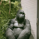 Photo n°3 de l'avis de Katia.a fait le 06/10/2022 à 16:23 sur le  Tribeca Lounge à Ravenna