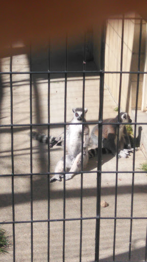 Zoo «Great Plains Zoo & Delbridge Museum of Natural History», reviews and photos, 805 S Kiwanis Ave, Sioux Falls, SD 57104, USA