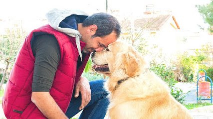 Mustafa Kobaş Dog House Köpek Eğitim ve Psikoloji Merkezi