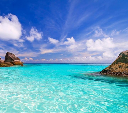 Campground «Pirateland Family Camping Resort», reviews and photos, 5401 S Kings Hwy, Myrtle Beach, SC 29575, USA