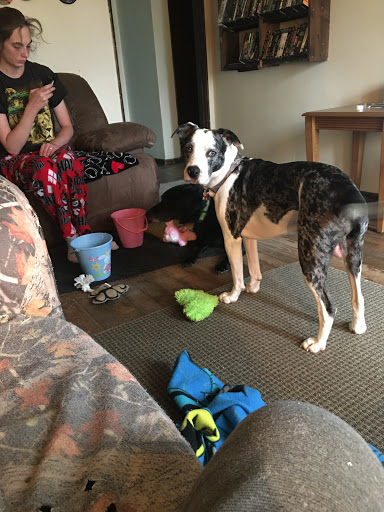 Auto Parts Store «Advance Auto Parts», reviews and photos, 1215 Main St, Hamilton, OH 45013, USA