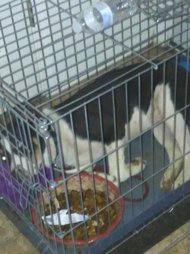 Subaru Dealer «Anderson Subaru», reviews and photos, 7050 Pensacola Blvd, Pensacola, FL 32505, USA