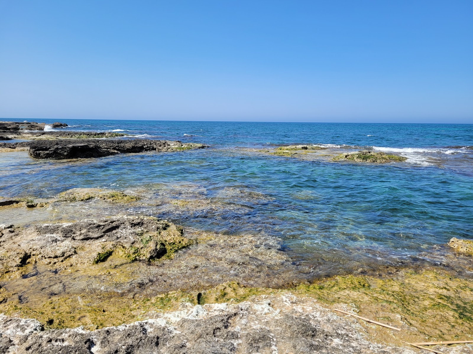 Foto de Playa MamaLuna área de complejo turístico de playa