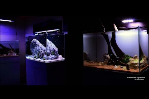 Darpan Fish Aquariums image