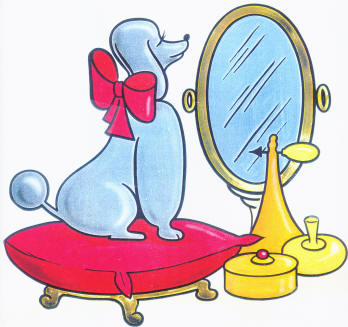 Pet Groomer «Pampered Pet Grooming and Dog Training, Inc.», reviews and photos, 2 Henson Pl #3, Champaign, IL 61820, USA