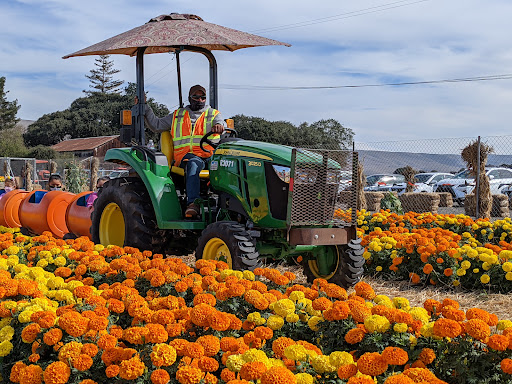 Pumpkin Patch «Spina Farms», reviews and photos, Santa Teresa Blvd, Morgan Hill, CA 95037, USA