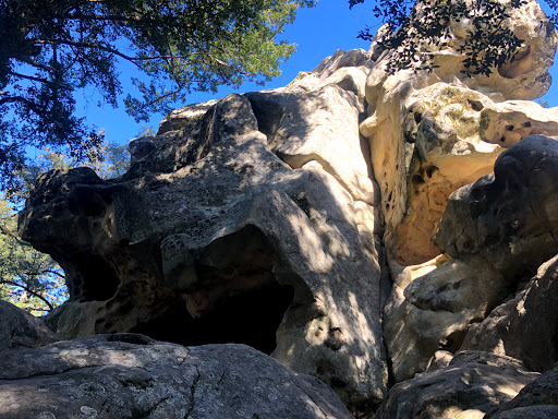 Castle Rock Trail