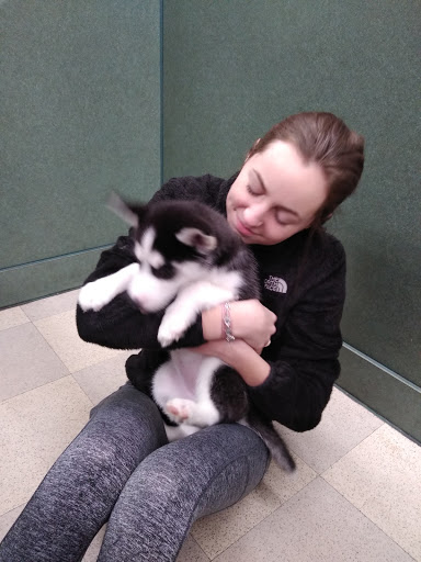 Pet Store «Petland», reviews and photos, 351 Diederich Blvd, Ashland, KY 41101, USA