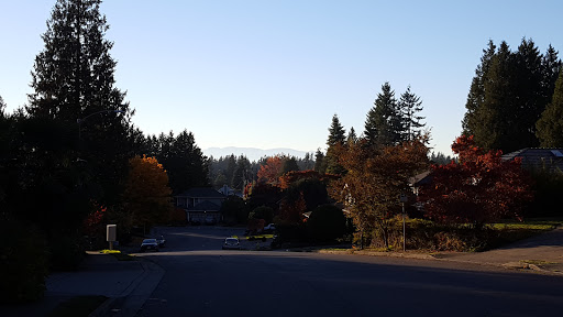 Park «North Lynnwood Park», reviews and photos, 18510 44th Ave W, Lynnwood, WA 98037, USA