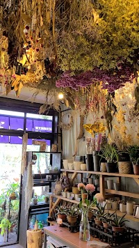 就労継続支援B型わかば