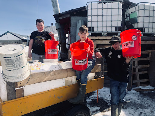 Home Improvement Store «Tractor Supply Co.», reviews and photos, 2636 Highgate Rd, St Albans City, VT 05478, USA