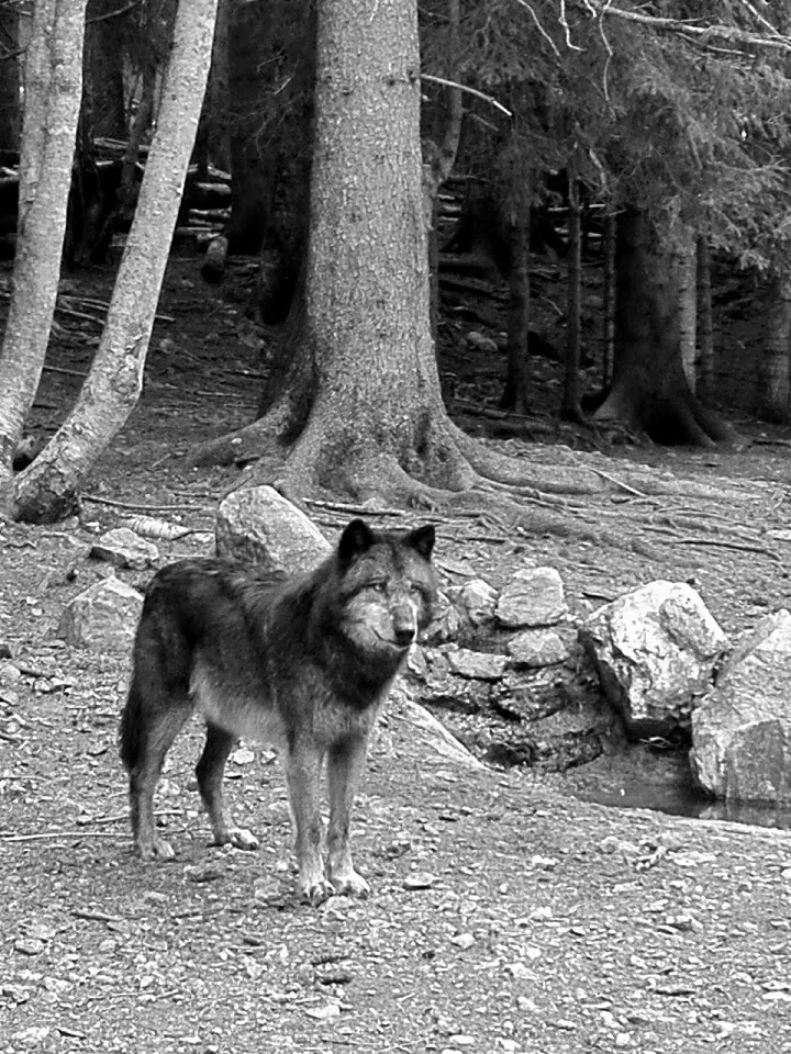 Photo n° 1 de l'avis de Victor.h fait le 01/05/2018 à 20:58