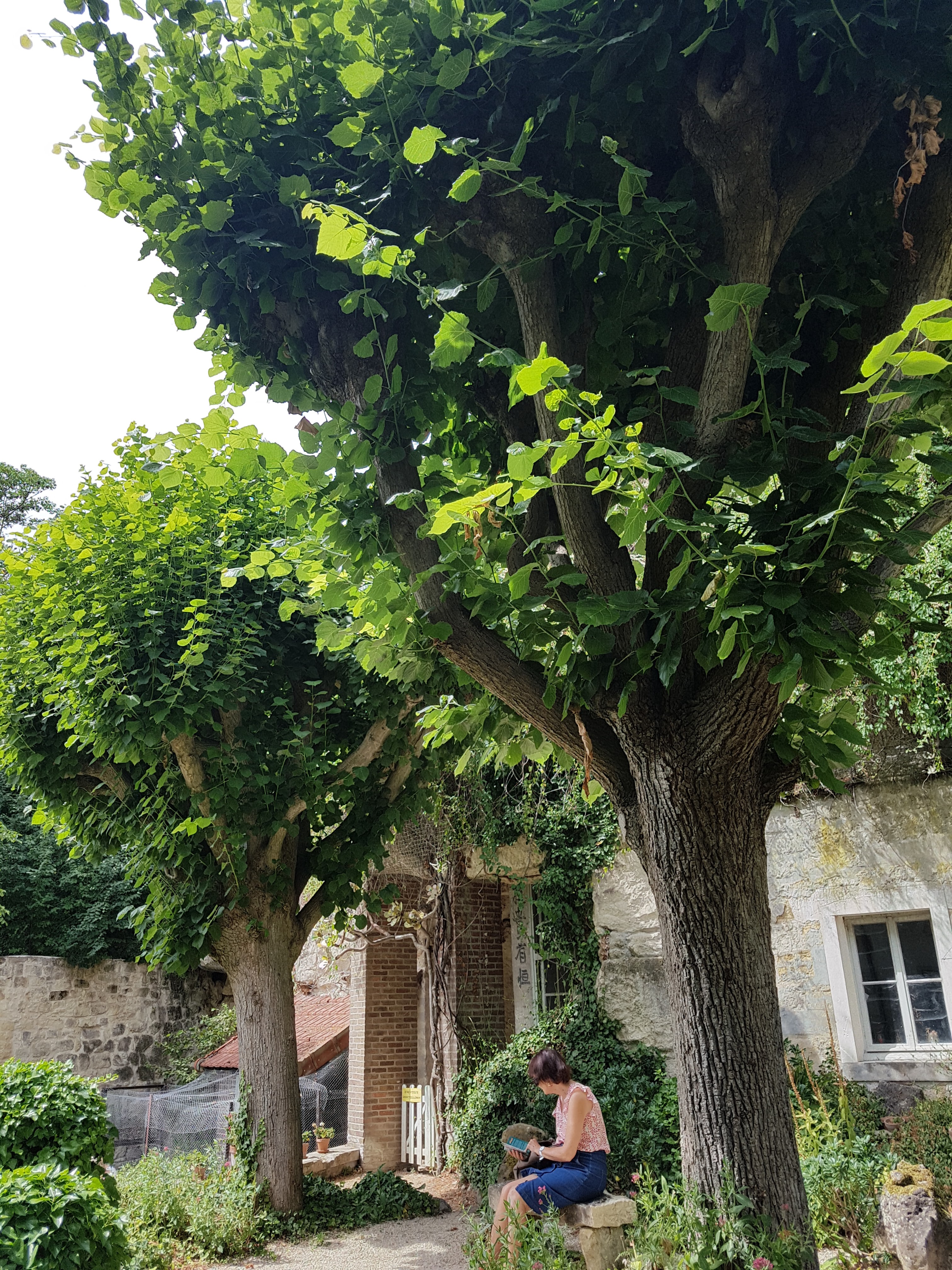 Photo n° 18 de l'avis de Isabelle.e fait le 04/08/2019 à 17:08