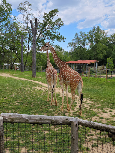 Zoo «The Maryland Zoo in Baltimore», reviews and photos, 1 Safari Place, Baltimore, MD 21217, USA