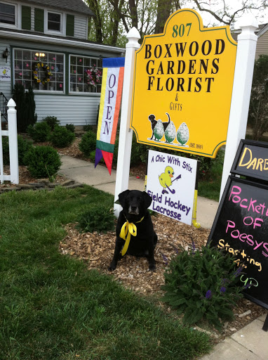 Florist «Boxwood Gardens Florists», reviews and photos, 807 River Rd, Fair Haven, NJ 07704, USA