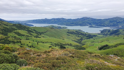 Otepatotu Scenic Reserve