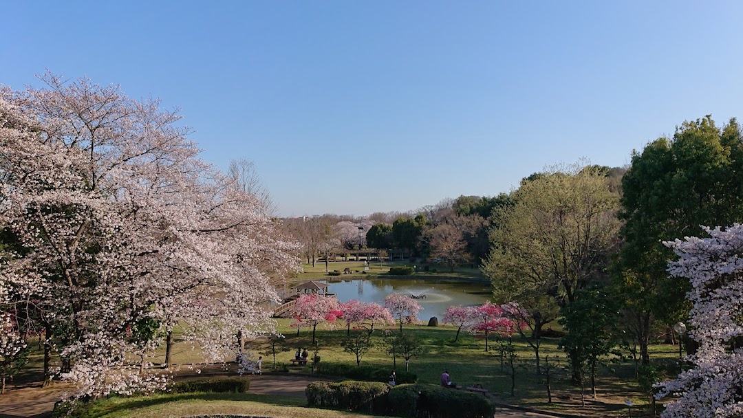 城山公園 大池