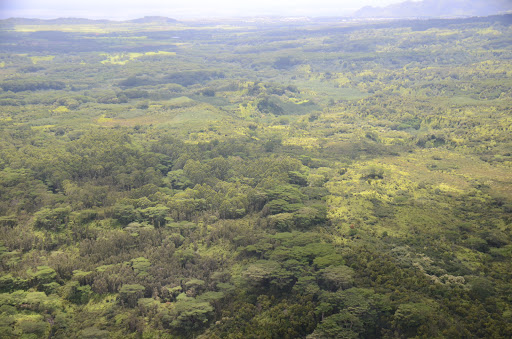 Gym «Planet Fitness», reviews and photos, 53 Marrows Rd, Newark, DE 19713, USA