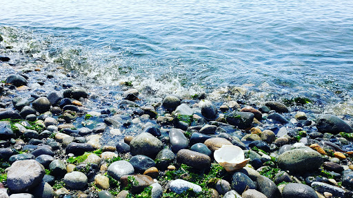 Park «Discovery Park», reviews and photos, 3801 Discovery Park Blvd, Seattle, WA 98199, USA