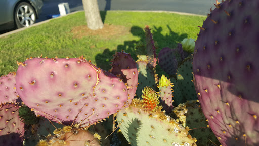 Thrift Store «Goodwill Central Texas - Northstar Store», reviews and photos, 7727 Burnet Rd, Austin, TX 78757, USA