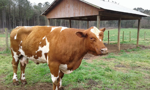 Non-Profit Organization «Dauset Trails Nature Center», reviews and photos, 360 Mt Vernon Church Rd, Jackson, GA 30233, USA