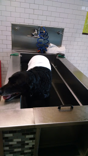 Pet Supply Store «Unleashed by Petco», reviews and photos, 432 Westlake Center, Daly City, CA 94015, USA