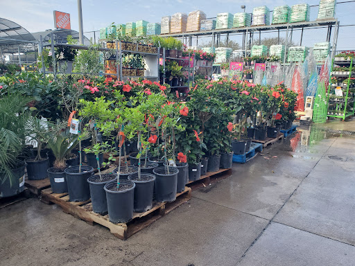 Home Improvement Store «The Home Depot», reviews and photos, W 12871 I-10, San Antonio, TX 78249, USA