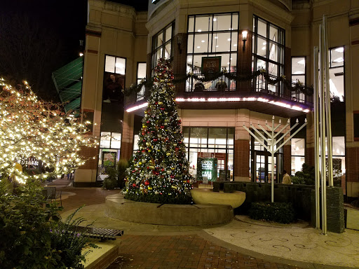 Book Store «Barnes & Noble», reviews and photos, 4801 Bethesda Ave, Bethesda, MD 20814, USA