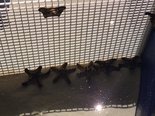 Aquarium «Via Aquarium», reviews and photos, 93 W Campbell Rd, Schenectady, NY 12306, USA