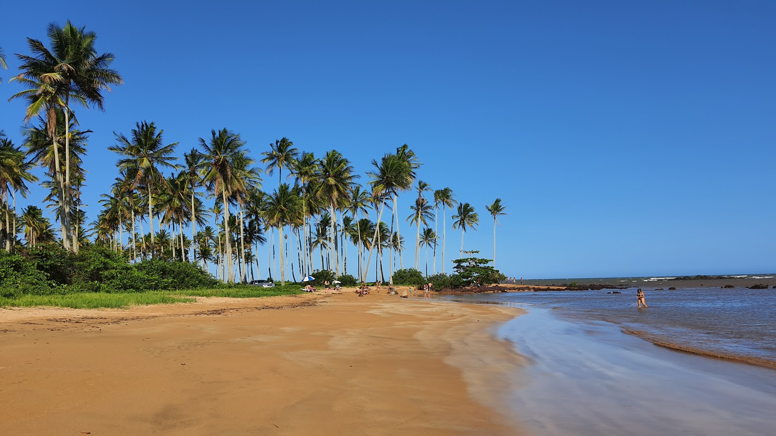 Foto von Kokospalmen Strand mit sehr sauber Sauberkeitsgrad