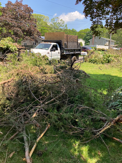 Axel Tree Trimming - Residential Tree Treatment Service, Professional Tree Removal in Mastic, NY