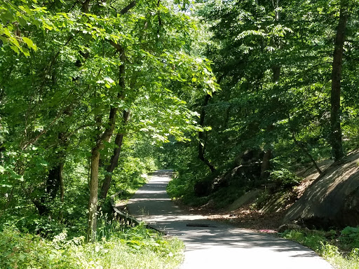 Park «Seton Falls Park», reviews and photos, E 233rd St, Bronx, NY 10466, USA