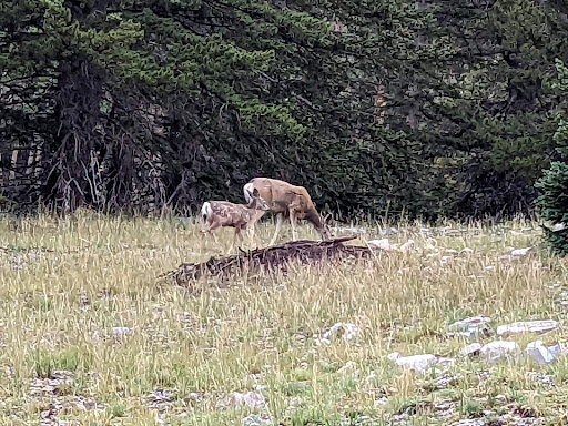 National Park «Great Basin National Park», reviews and photos