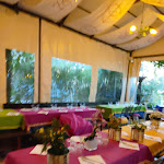 Photo n°5 de l'avis de Drania.o fait le 11/07/2022 à 20:30 sur le  Ago e Rita à Torri del Benaco