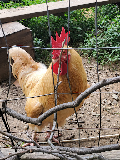 Produce Market «Highland Orchards Farm Market», reviews and photos, 1431 Foulk Rd, Wilmington, DE 19803, USA