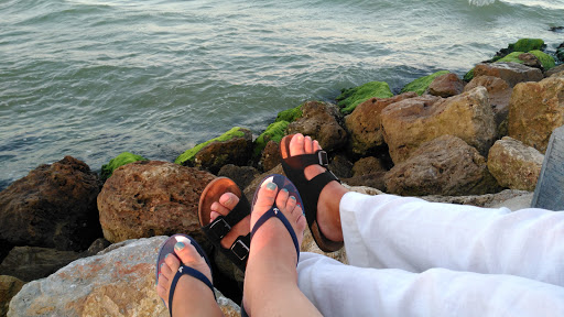 Aquarium «The Aquarium at Rockport Harbor, Inc.», reviews and photos, 706 Navigation Cir, Rockport, TX 78382, USA