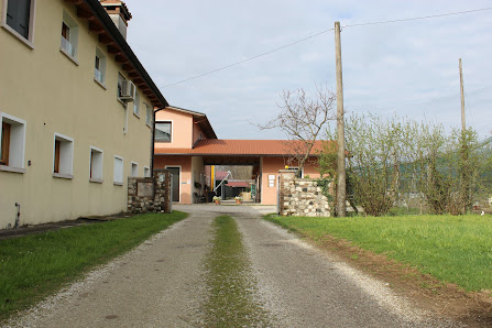 Azienda agricola & allevamento selvaggina Bertolin Via Palazzon, 5, 36063 Ca' Palazzon VI, Italia