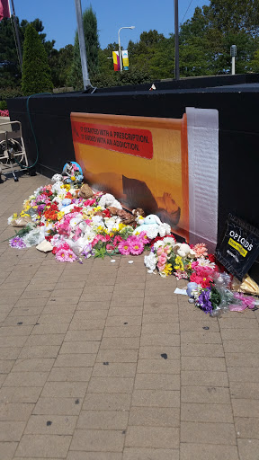 Stadium «FirstEnergy Stadium», reviews and photos, 100 Alfred Lerner Way, Cleveland, OH 44114, USA