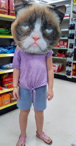 Discount Store «Dollar General», reviews and photos, 403 Edgewood Rd NW, Cedar Rapids, IA 52405, USA