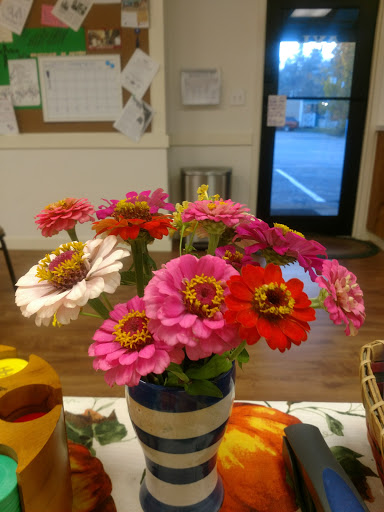 Grocery Store «YZ Asian Market», reviews and photos, 22 New Leicester Hwy, Asheville, NC 28806, USA