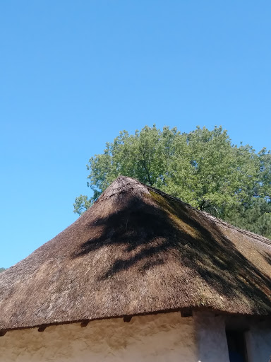 History Museum «Jamestown Settlement», reviews and photos, 2110 Jamestown Rd, Williamsburg, VA 23185, USA